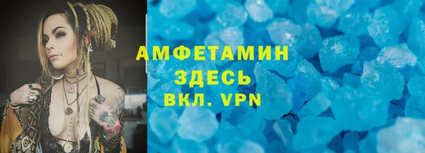 PSILOCYBIN Горняк