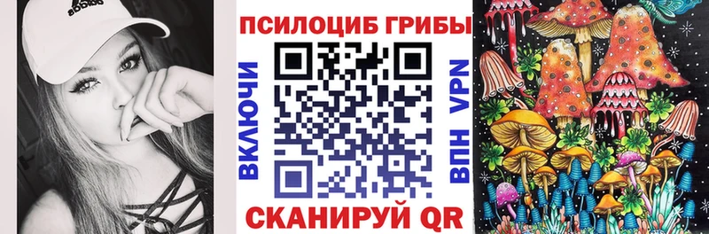 Купить закладки  Лахденпохья  Псилоцибиновые грибы Magic Shrooms 